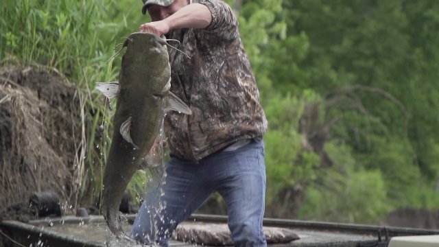 CarbonTV's tweet photo. MONSTER FLATTIES! See the best catches & hilarious moments of @MudBumBoys season 2: https://t.co/edMvhw9A7e
#MudBuM https://t.co/TCynqr28kB