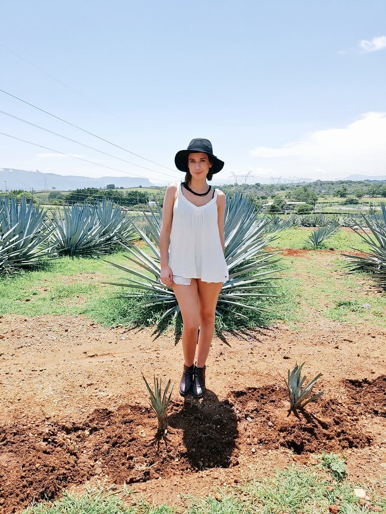 canal_wtv's tweet photo. WTV Magazine esta en Jalisco... Para Obligada Tequila Pueblo Mágico. Gracias a @sauza  Host. Paulina Ostos. https://t.co/584Z1EoHml