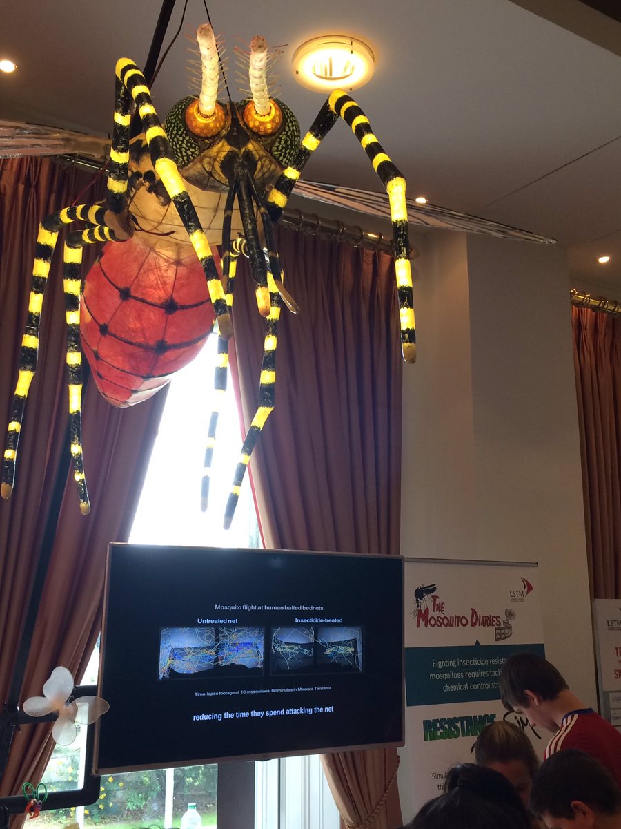 ojwatson92's tweet photo. Great exhibit and #datavisualisation from @MosDiaries on mosquito tracking on nets. #summerscience #MosquitoDiaries https://t.co/W4OyWzNh9V