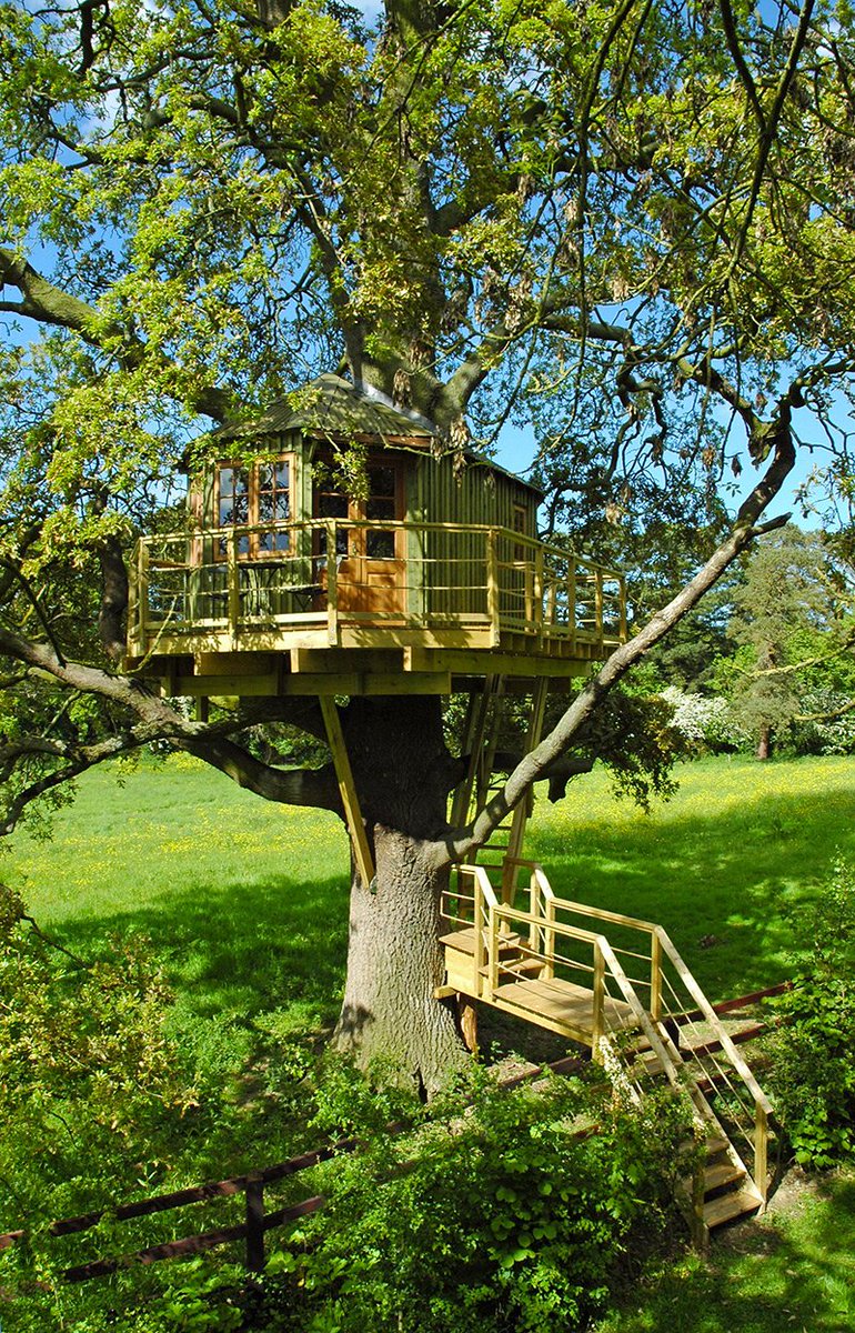 treehauslove's tweet photo. Would you like to have your own hideaway in this treehouse? 
https://t.co/KESY1ZOMCC
#architecture #treehouse https://t.co/CgDHd9eX0j