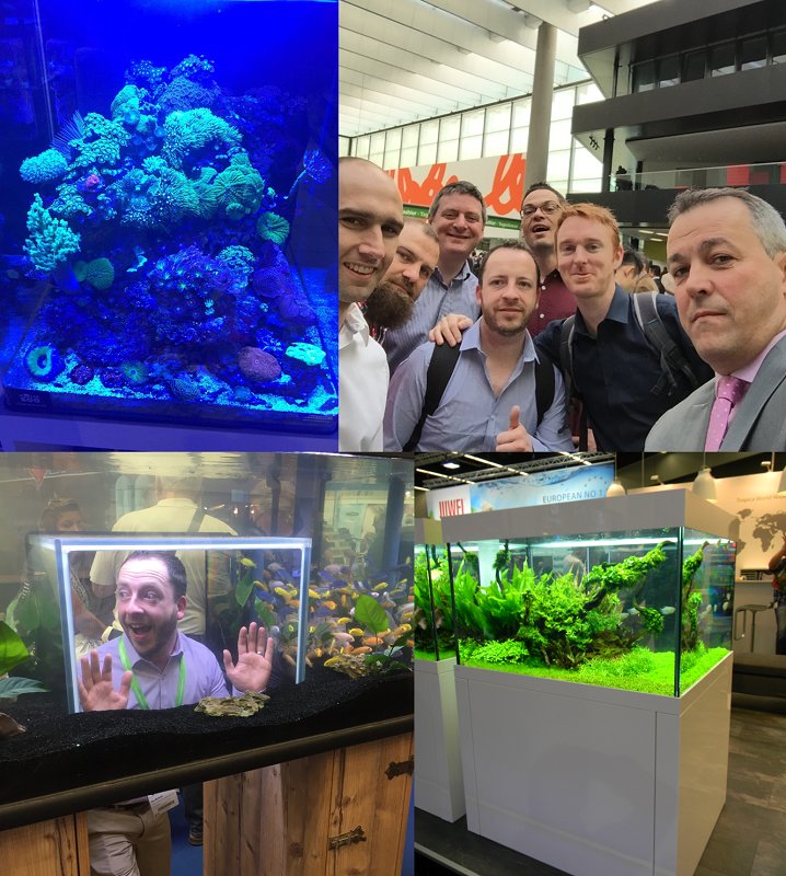 Seahorse_Aqua's tweet photo. Great source of inspiration, we learnt many things&met some great people-#InterZoo2016 definitely one to remember https://t.co/qHI6ZC0jiH