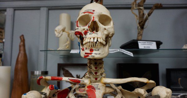 SkullStore Founder Ben Lovatt: “I Sell Dead People” buff.ly/29pMn63