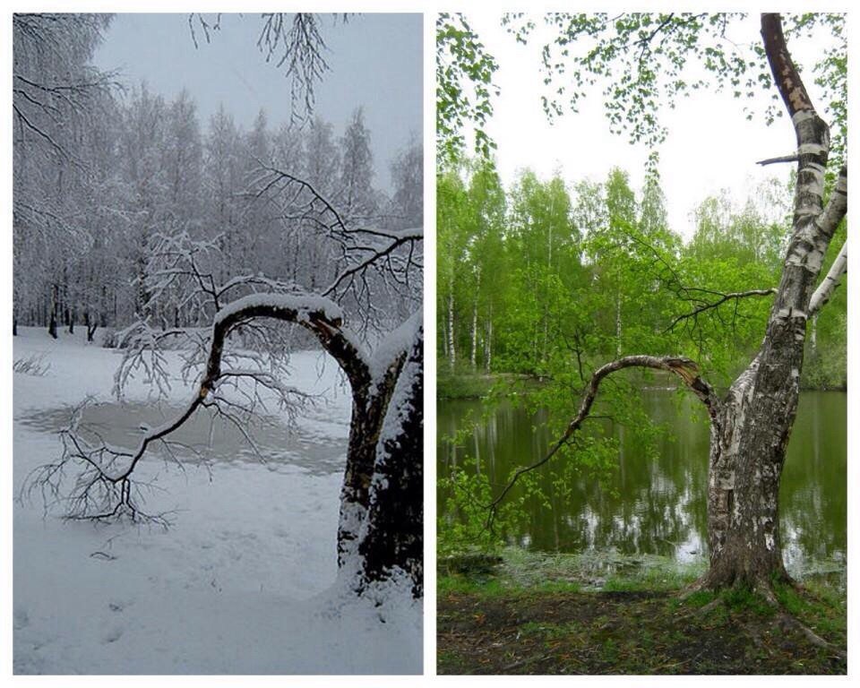 patsyjean69's tweet image. this is thrilling view 😻😀