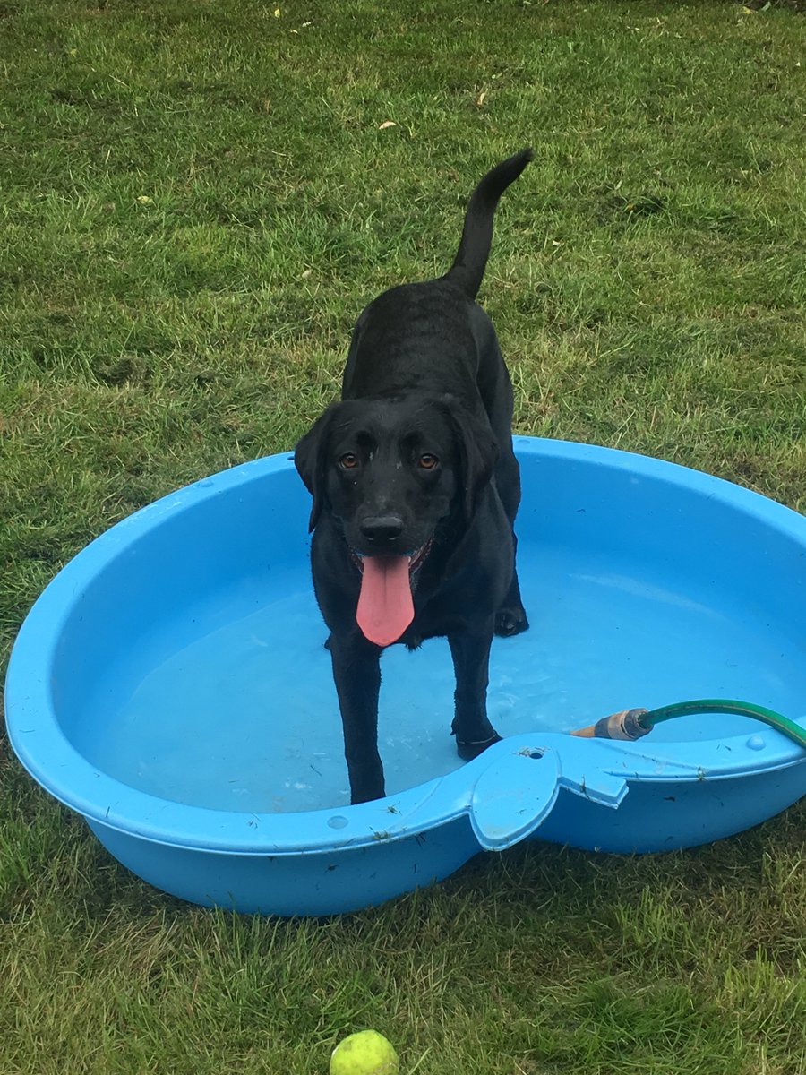 Daisy_dor's tweet photo. it may be windy out, but nowt is coming between me and water fun https://t.co/INESwsjiyN