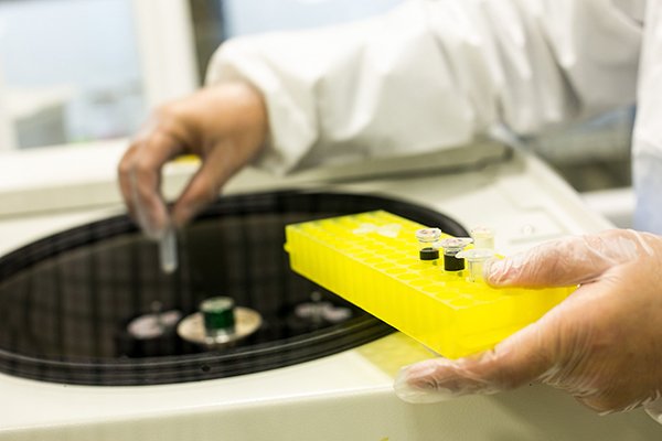 Científicos descubren posibles nuevos tratamientos contra el cáncer ow.ly/EmeR30251Ja