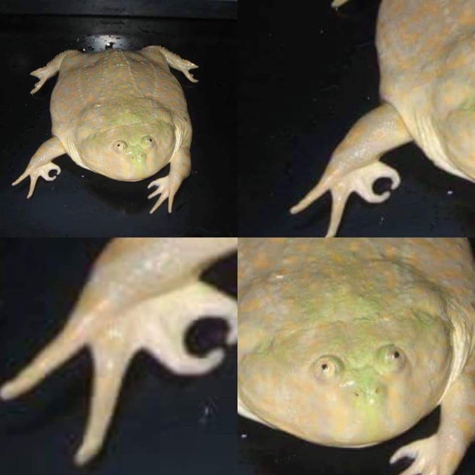 Rubiu5's tweet photo. https://t.co/HnuFPSdVFw