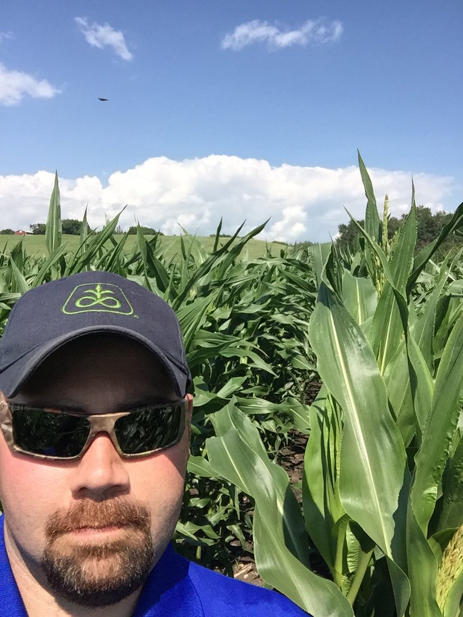 MZukiwski's tweet photo. #39F44 over my head already at Paradise Hill, SK. #yieldhero https://t.co/eTtJd3zPHO