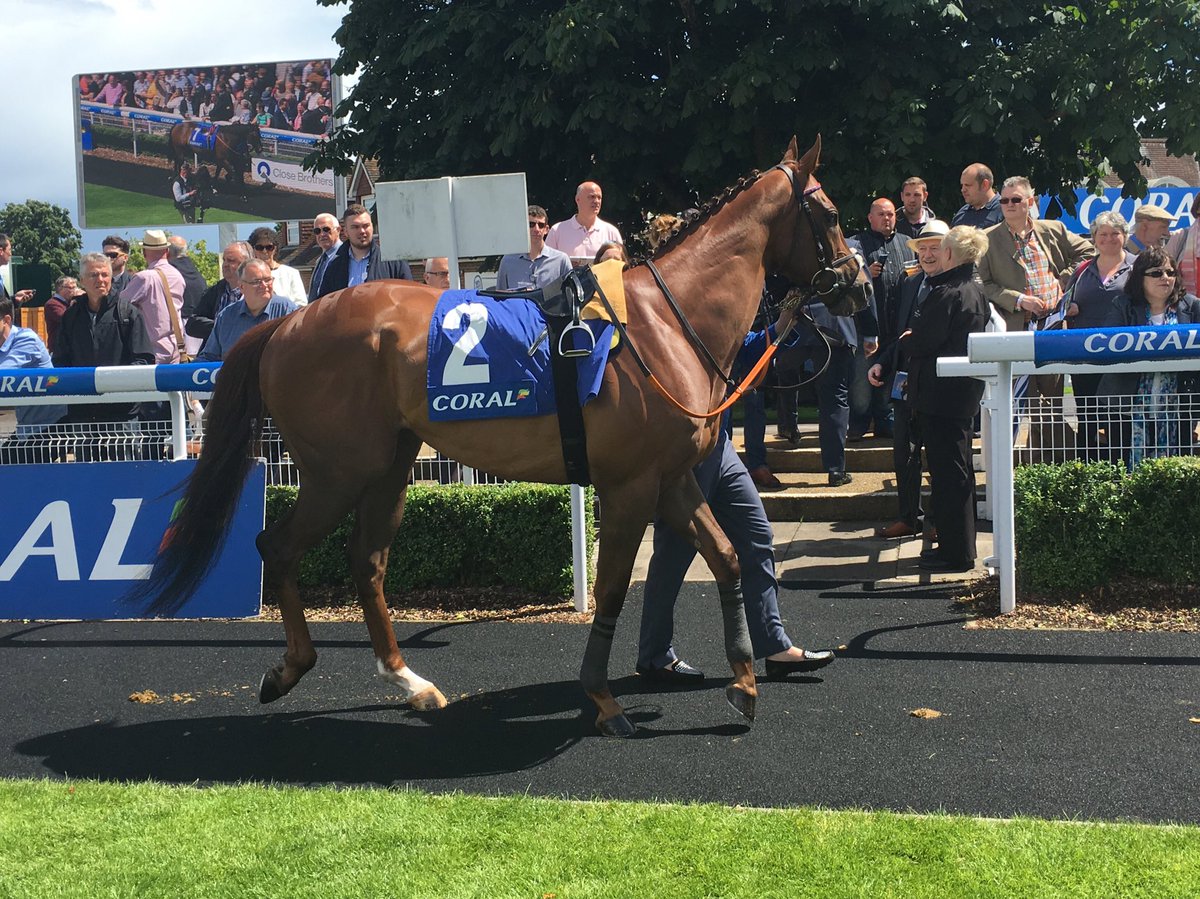 EdenLeaRail's tweet photo. The #teamEden racehorse #DukeofFirenze is running in the 2.45pm @Ascot this afternoon @DCGRacing #doncasterisgreat https://t.co/D56L1f9mdE