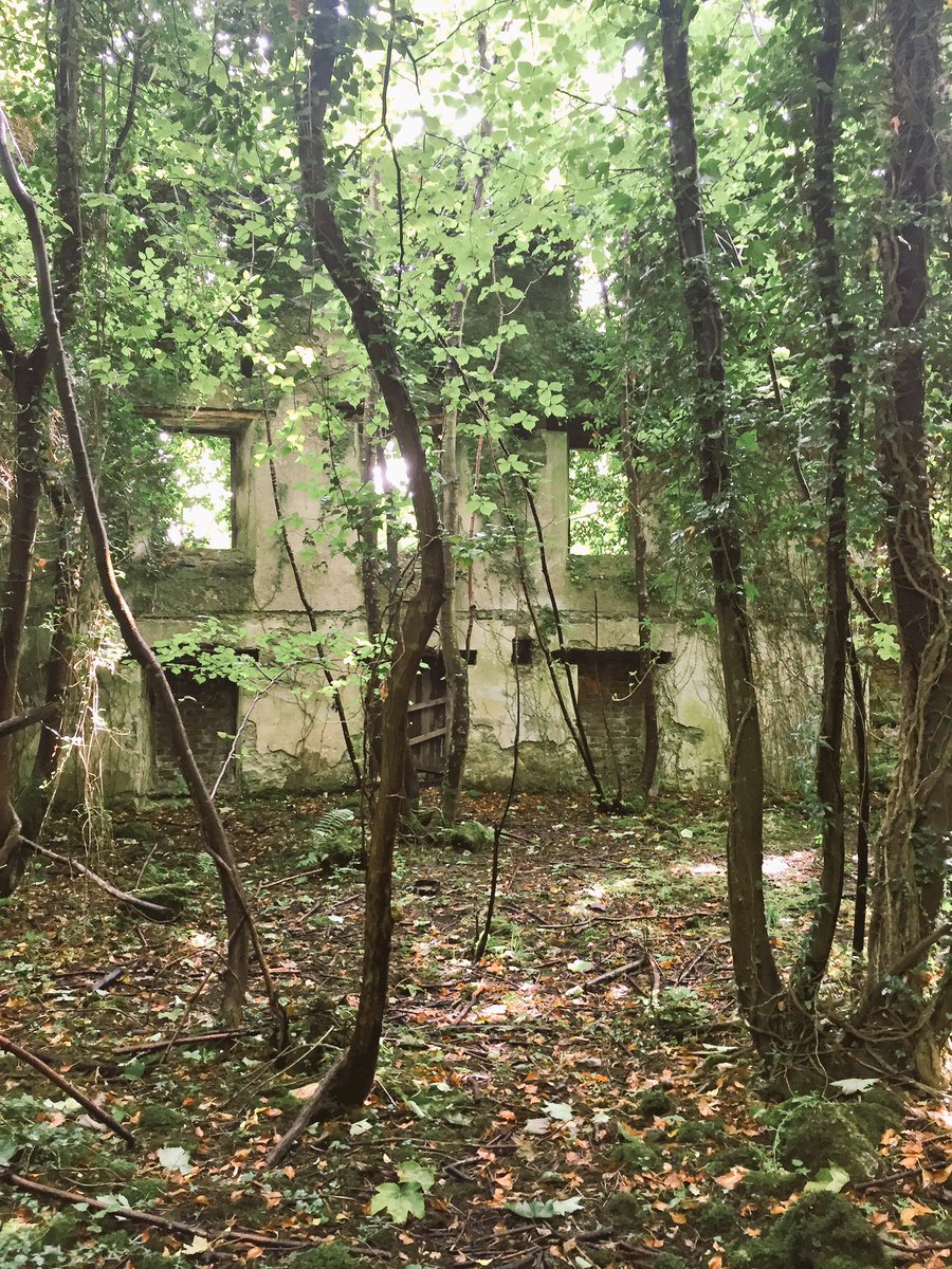 GallivantScot's tweet image. Scanning and surveying the C18th warehouse at Kennetpans Distillery with @innerforth and @aocarchaeology