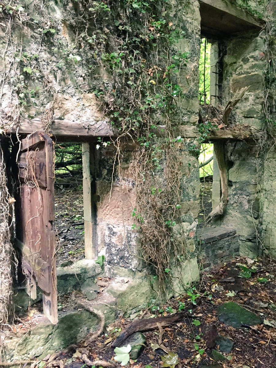 GallivantScot's tweet image. Scanning and surveying the C18th warehouse at Kennetpans Distillery with @innerforth and @aocarchaeology