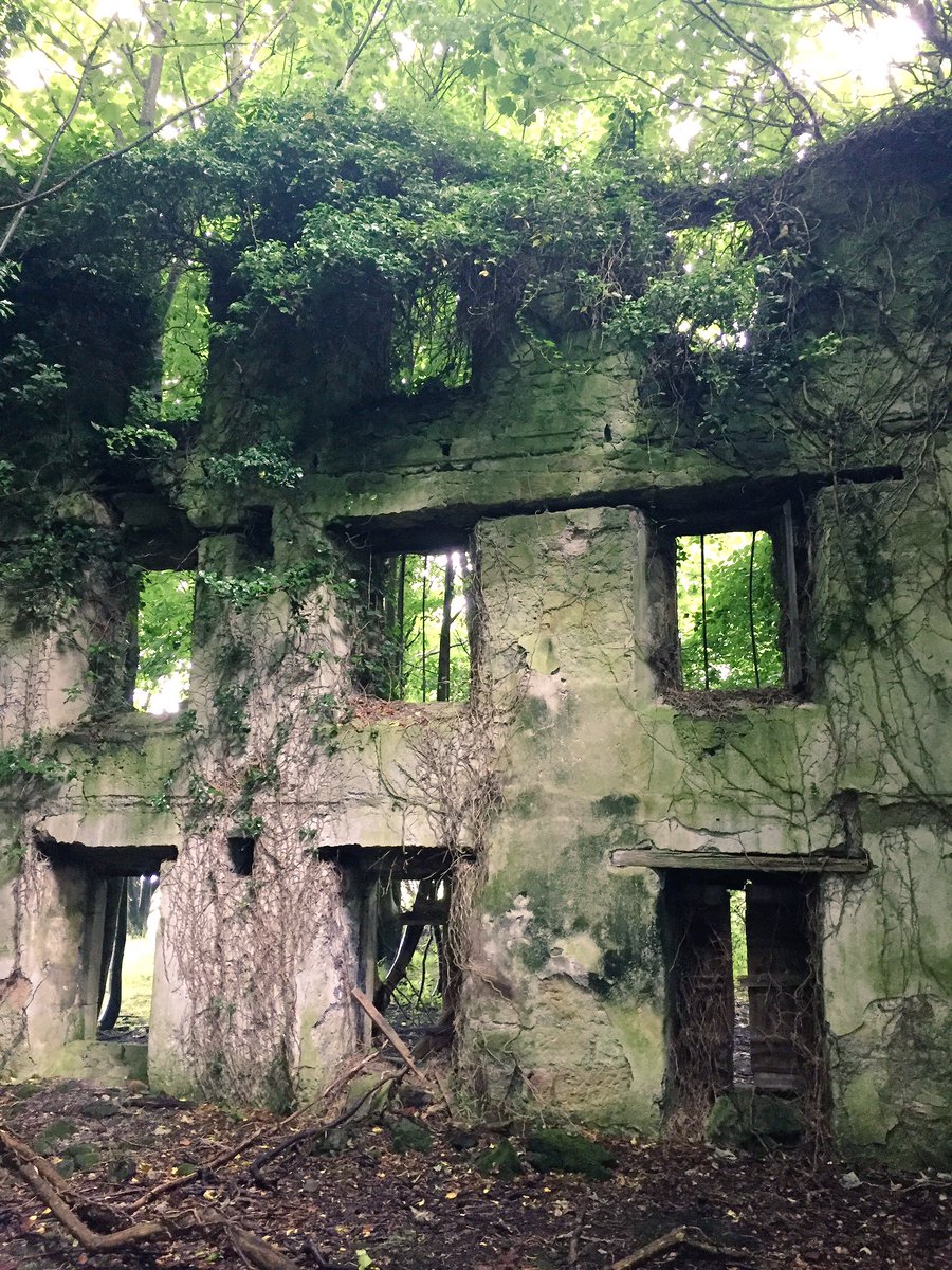 GallivantScot's tweet image. Scanning and surveying the C18th warehouse at Kennetpans Distillery with @innerforth and @aocarchaeology