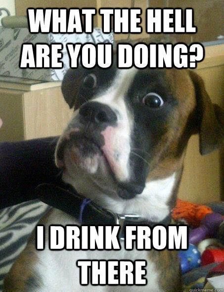 WhisperJet_ca's tweet photo. We all do it! Why does everybody have to know when we do?! #stopthestink #whisperjet #dealwhitit https://t.co/wfTD8VpeS1