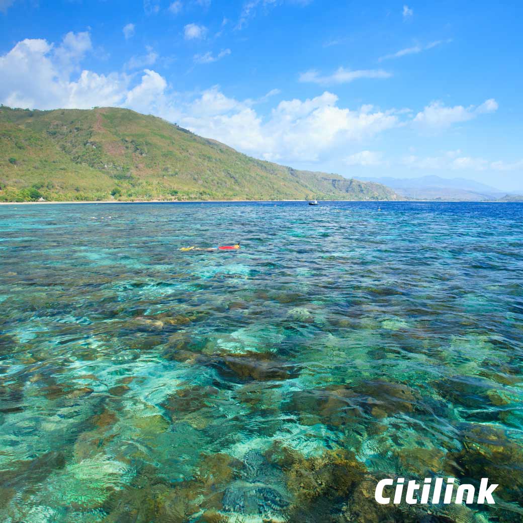 Citilink's tweet photo. Birunya air laut membuat Alor memiliki beragam pesona terutama bawah lautnya. Citilinkers pernah berkunjung kesini? https://t.co/z6FmTshwa5