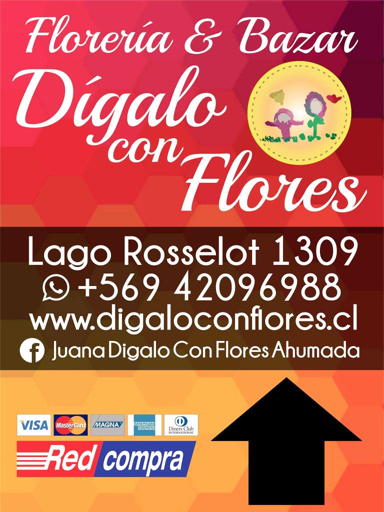 Digaloconflorez's tweet photo. Floreria y Bazar Digalo con Flores Disponibles Rosas Rojas Ecuatorianas excelente calidad duración aprox. de 20 días https://t.co/hTYGcXAIHW