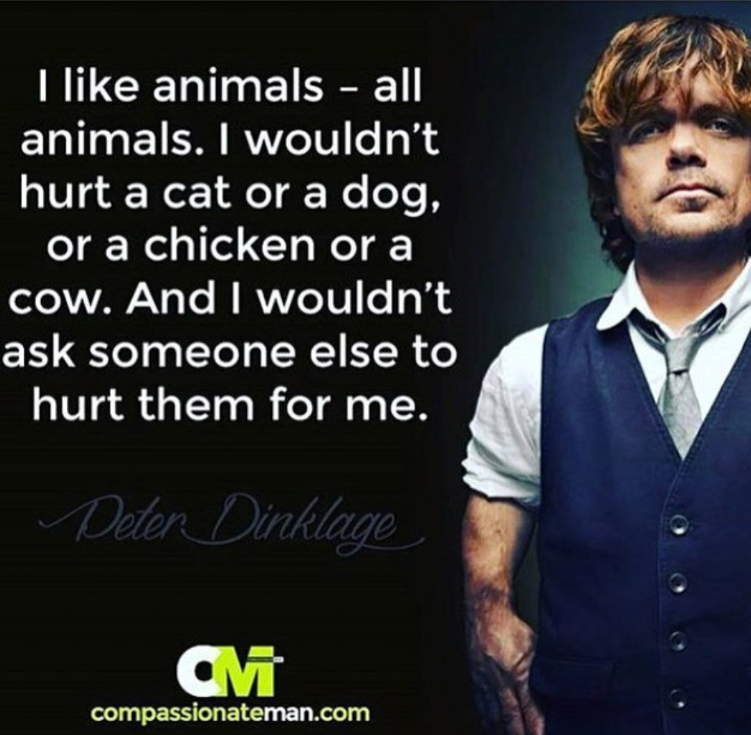 PieCreative's tweet photo. Peter Dinklage. #GoT #favourite #vegan #compassionateman https://t.co/p0LjY0FKiE