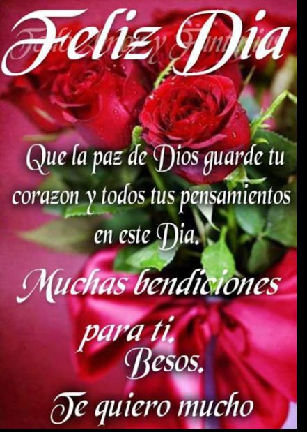 Merryhelen54's tweet photo. @mariaestermante @becky21784501 @thylu11 @CARMENMARAESPIN  @ivonnesanchez18 @mmm220367 @Haydee_gru18 @LindaflorDrika https://t.co/pjibNZPCDt