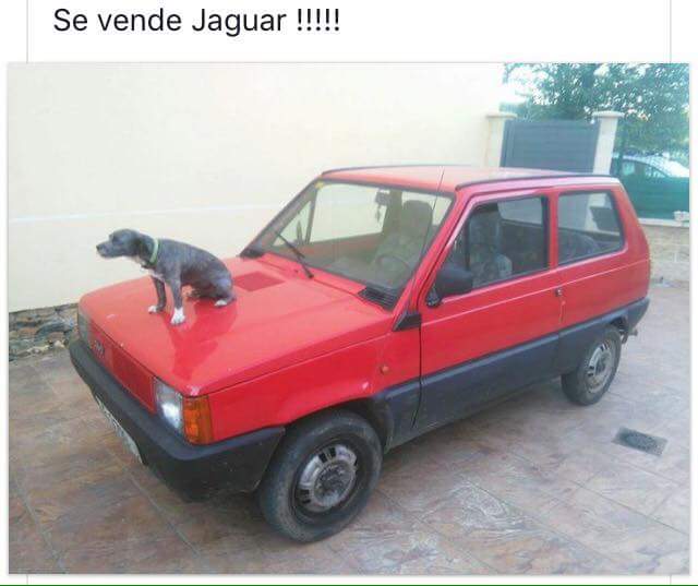 El equipo sky vende su flota de vehiculos a precio de ganga!! #TourTVE