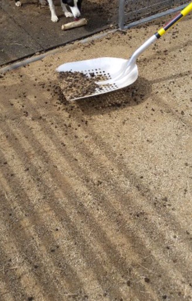 STALL SIFTER tweet media