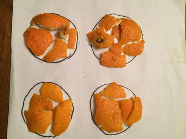 MT <a href="/paperpile/">Paperpile</a>: Proof by Clementine: surface area of sphere is 4 pi r^2  <a href="/itchymaths/">Cathy Smith</a>