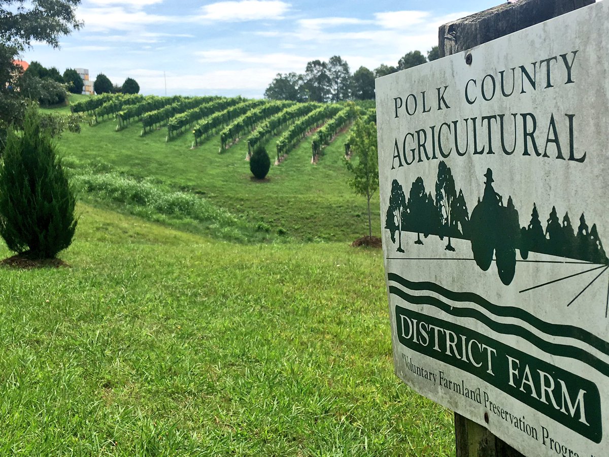 omvvip's tweet photo. Farming at its finest. #winelife #overmountainvineyards @ncwines https://t.co/PBMt6JhtZC