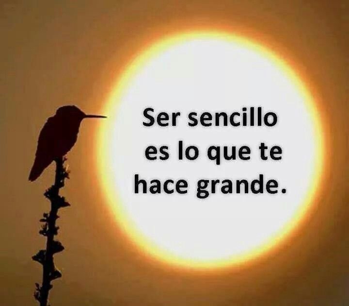Buenos Dias Que Tal Esa Actitud Positiva Para Hoy Te Dejamos El Mensaje De Este Sabado Rt Diario El Heraldo Scoopnest Buenos Dias Que Tal Esa Actitud Positiva Para Hoy Te Dejamos El Mensaje De Este Sabado Rt Diario El Heraldo Scoopnest