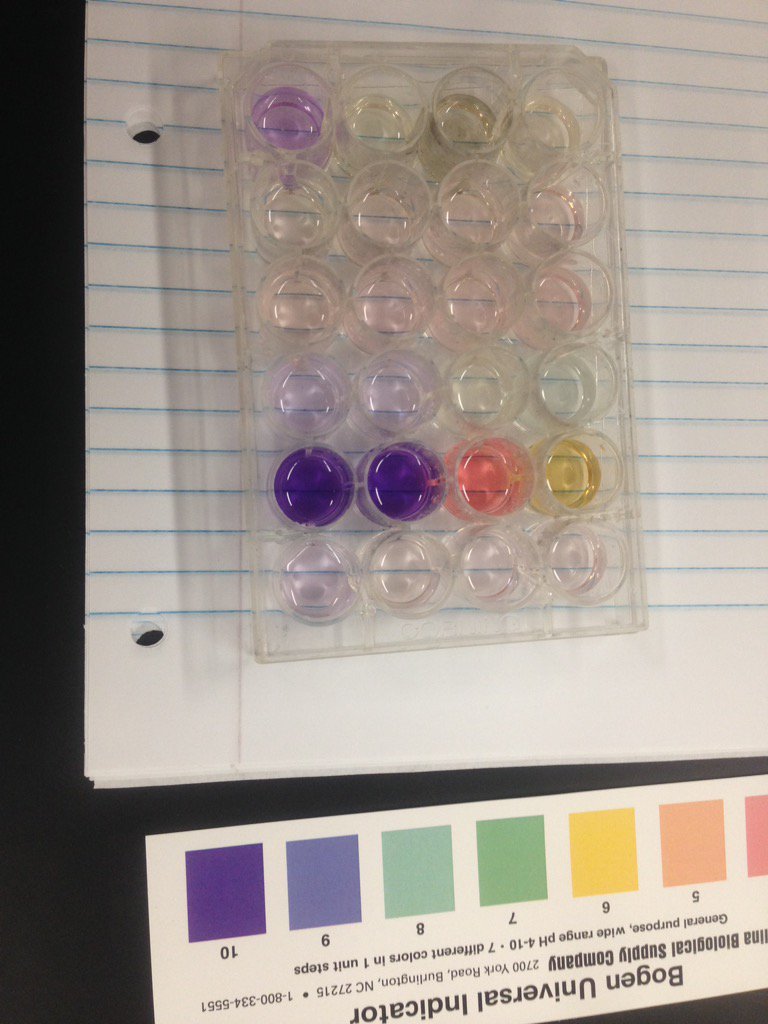 biophyschemPaul's tweet photo. Still going. Buffers #aptti2016 https://t.co/zqOIz6NSvj
