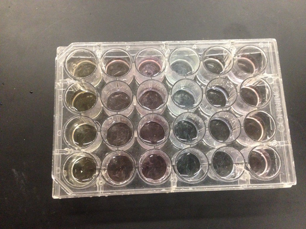 biophyschemPaul's tweet photo. Still going. Buffers #aptti2016 https://t.co/zqOIz6NSvj