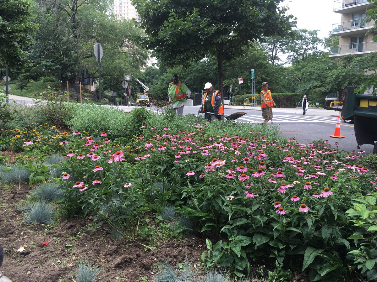 edison_projects's tweet photo. Thank you @NYCParks @NYCParksDept for the beautiful work in #spuytenduyvil #kappock https://t.co/OcaM3HKrDn