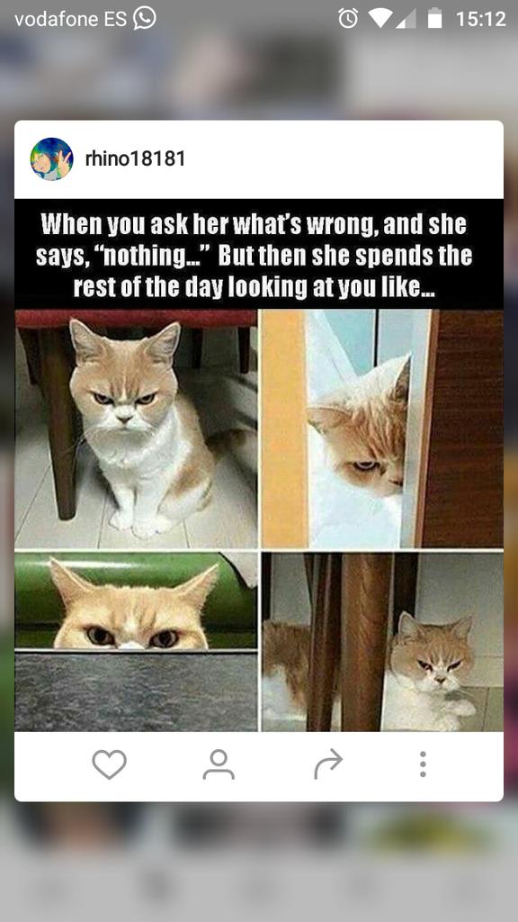 this_need's tweet image. Haha  :D