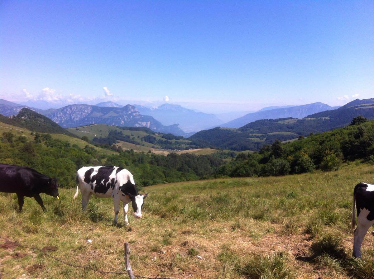 pasoave64's tweet photo. @senzabici nonostante il caldo #senzabicinonsostare #cornodaquilio #passofittanze #chegiro https://t.co/lqWLEtBooC