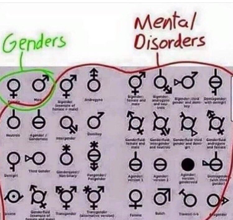 DankMemesFree's tweet image. 