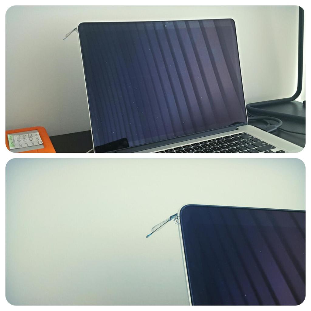 PWMawhinney's tweet image. Sometimes in life a beautiful dragonfly decides to land on your computer. #dragonfly #TechVsNature #NatureWins