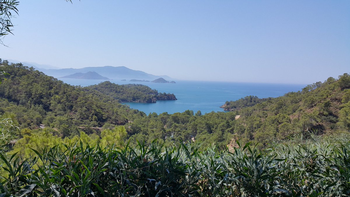 Recep Çelik tweet media