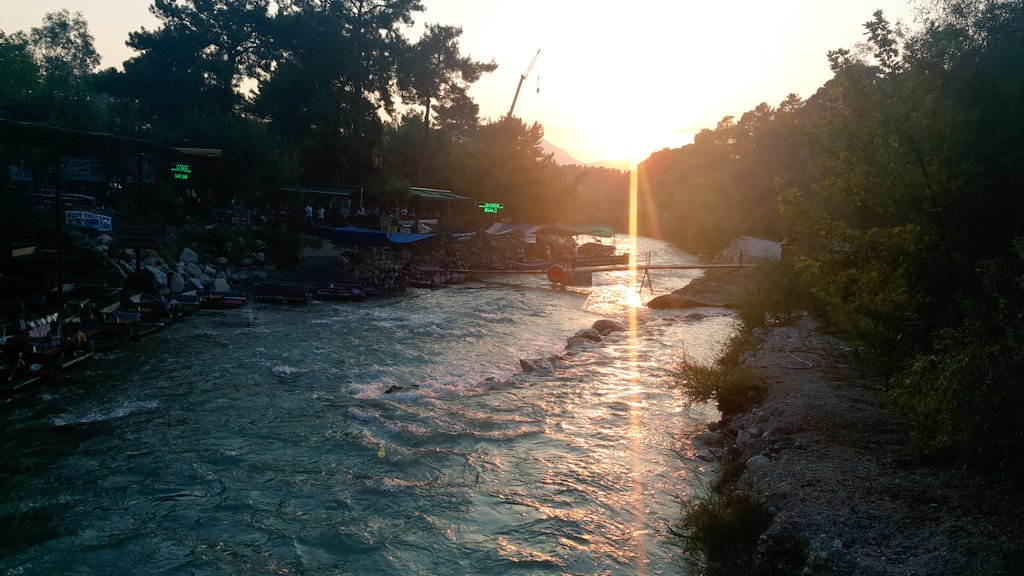 Recep Çelik tweet media