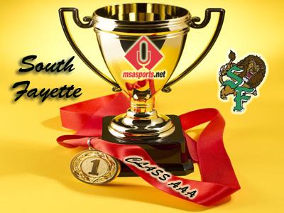 TribLiveHSSN's tweet photo. Our 2015-2016 MSA Sports Cup AAA winner is... @sflionssports! 

Full standings: https://t.co/0vLVVONi5Y https://t.co/NrUODMkfVh