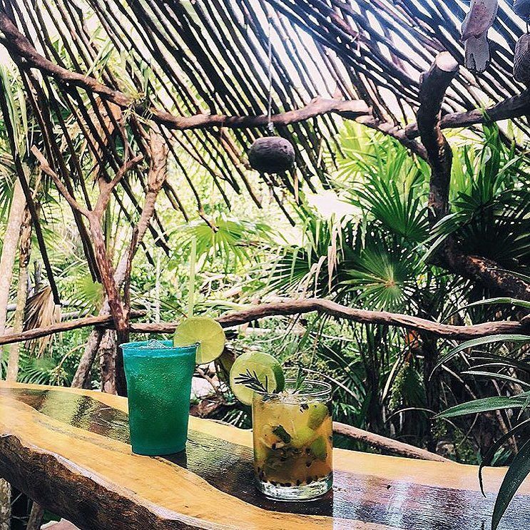 Azulikofficial's tweet photo. Did somebody say Saturday..? 💚 #AzulikTulum #ReconnectionSanctuary #Azulik #Tulum #EcoReso… https://t.co/XSYZkbGuoK https://t.co/ipAwvCqiiE