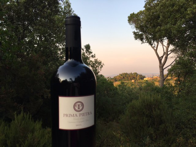 vincinitylondon's tweet photo. We are in the beautiful hills around #montalcino - hard to say what's better, the wine or the view #primapietra https://t.co/KUofJYMX6X