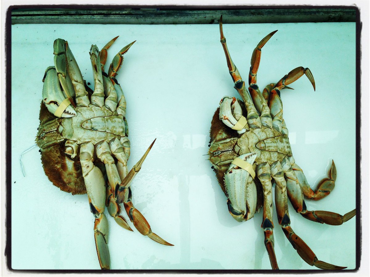 Thanks <a href="/FinestAtSeaVic/">Finest At Sea Vic</a> Having these two over for dinner tonight! #2ndstastethesame