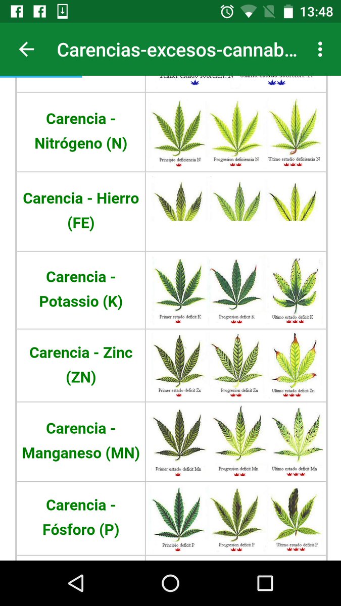 wikinnabis's tweet photo. @Apez140 @BuddhaSeeds @BCannabica @OsitoFumonOFI @GrowLandiaOFI @ElMatollGrow @raroweed @CannabisNI @Marihuanatv https://t.co/vdNJRXemm7