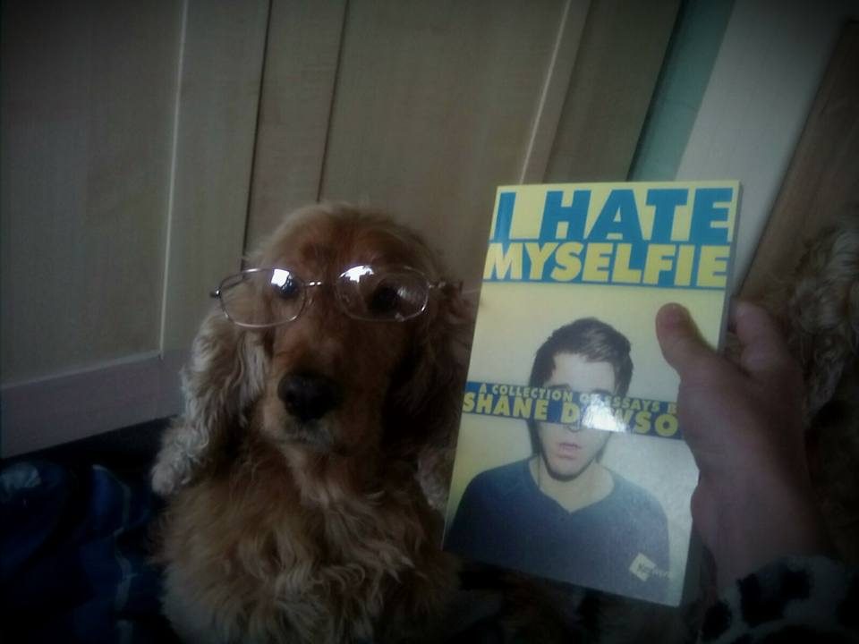 HorseAtHeart's tweet photo. @shanedawson https://t.co/zrCxhwrzdp