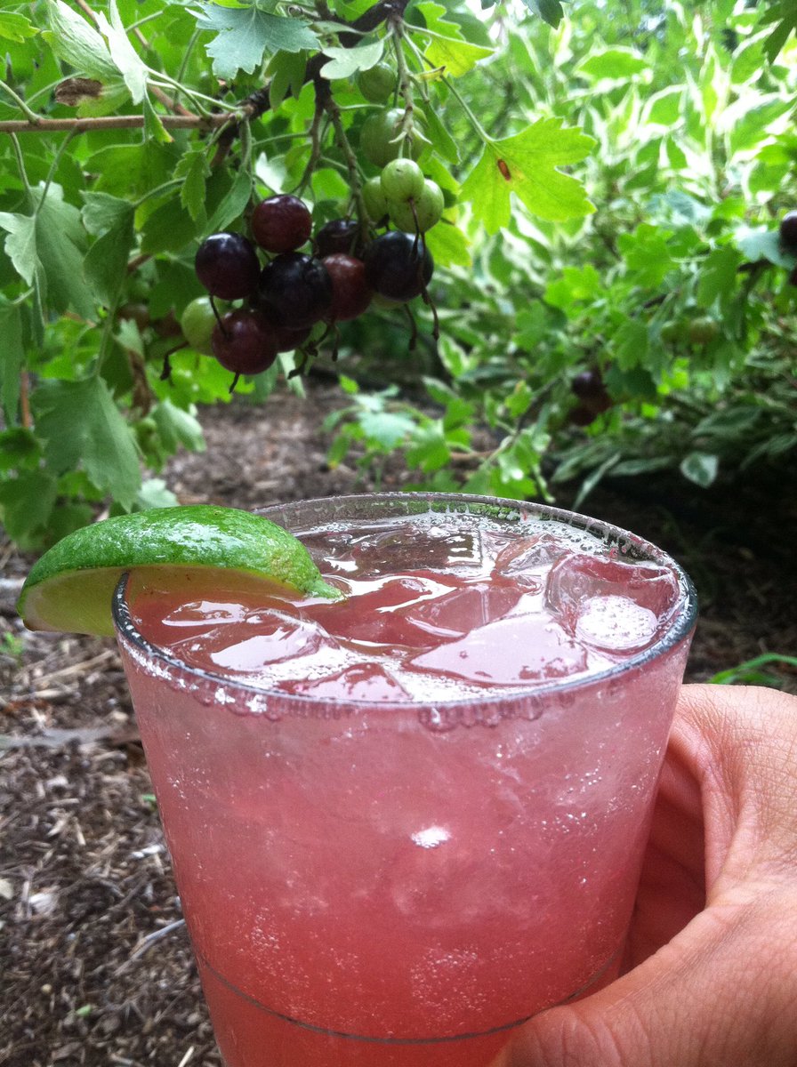 TRUCKRestaurant's tweet photo. Garden to Bar--a "Margarita Kir," made from clove currants from our garden. https://t.co/8TCjd7mcrP