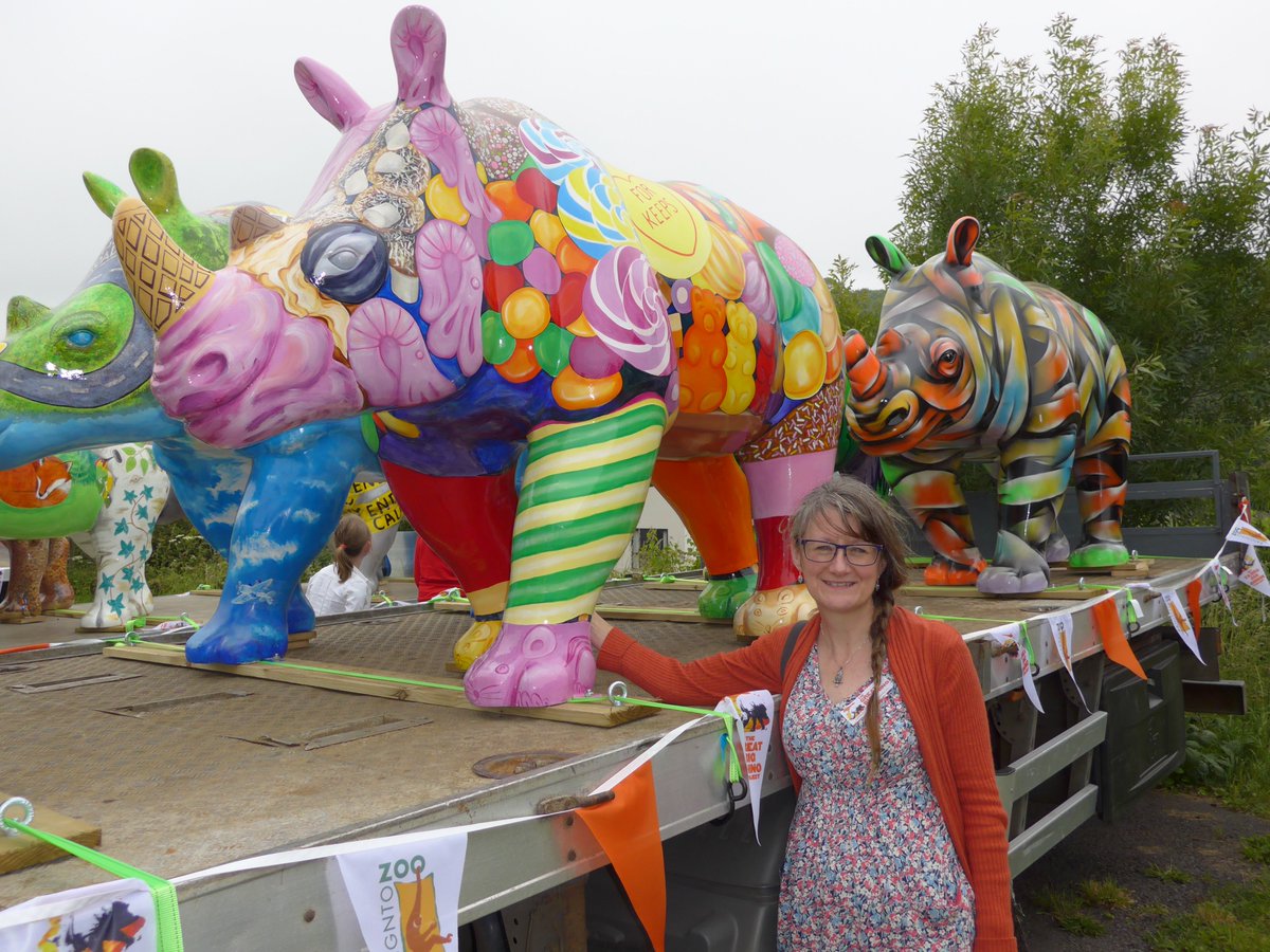 SusanWebber10's tweet image. 'Big Sweetie' in the parade of @GreatBigRhinos @PaigntonZoo sponsored by @RivieraCentre