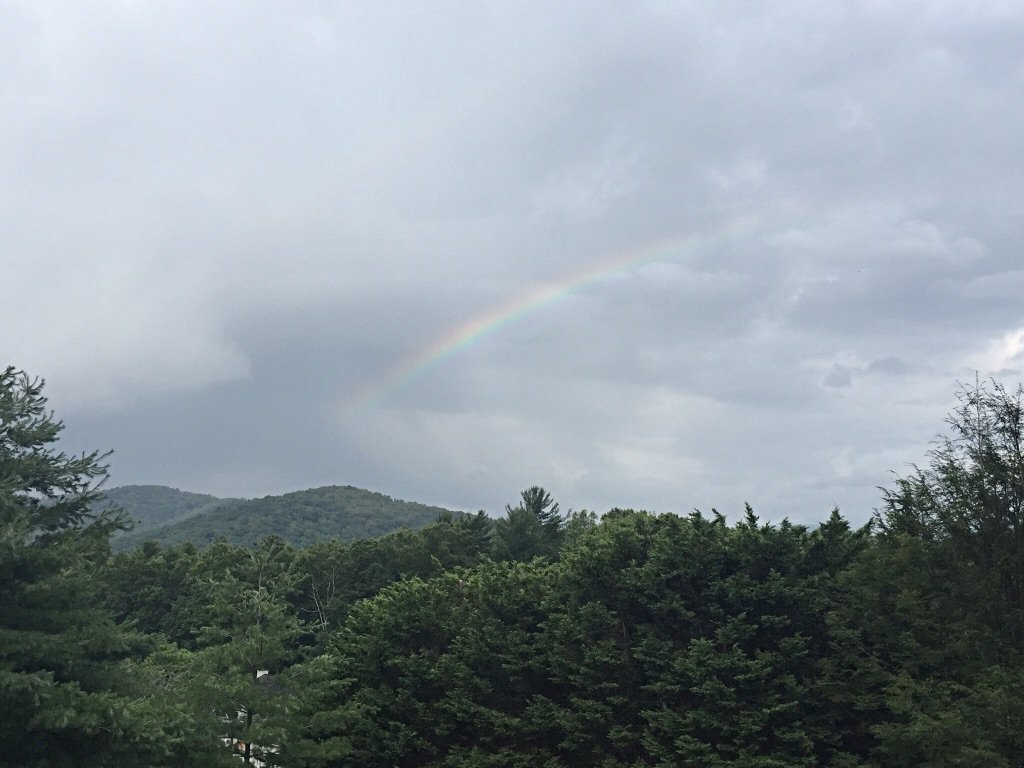 dryerballs1's tweet photo. Can you see it? #viewfromdeck https://t.co/c3NGKZFQbl