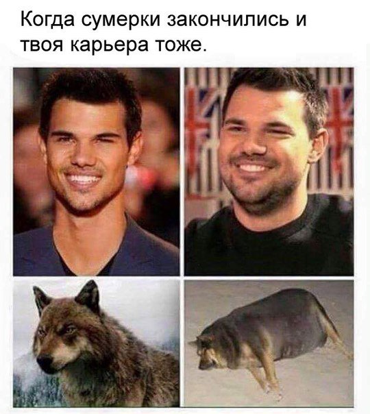 MartinMagnitski's tweet photo. ... https://t.co/uzK4cLXcwH