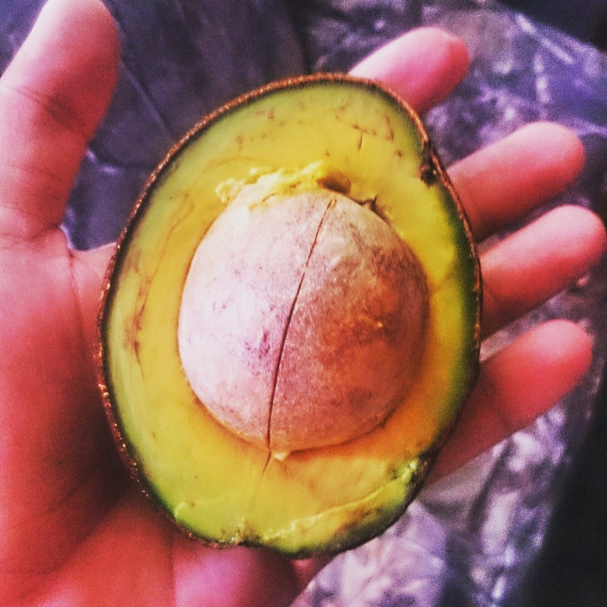 marquezfagoaga's tweet image. «Verás que la felicidad no se compra con dinero...», El Buki dixit. ✌😊🍴 

#aguacate #vaquerer #lafelicidadpásala