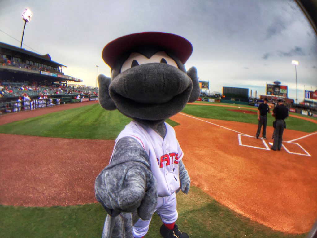 BuddyBat's tweet photo. Woke up today after a @LouisvilleBats sweep like... https://t.co/d8himS9WCh