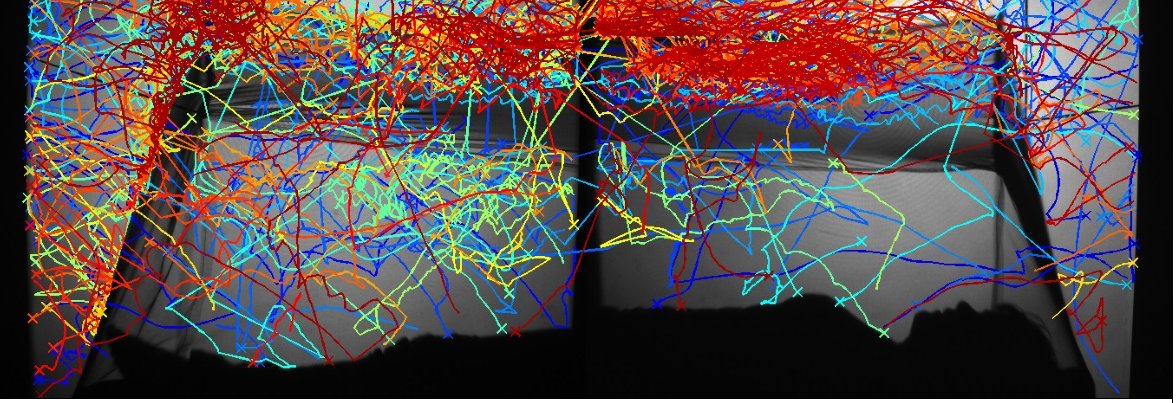 royalsociety's tweet photo. Go behind the scenes of #summerscience to see the latest technologies transforming medicine https://t.co/WXrsdQ9VdE https://t.co/27N0ww7coO