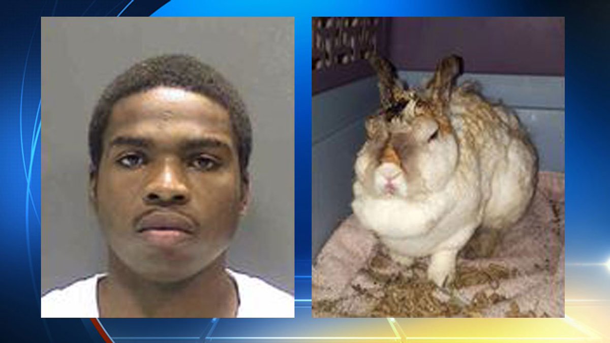 Man charged with burning bunny that bit him #JusticeForThumper bit.ly/29pbEhb?utm_me… https://t.co/jXofCYtkhW