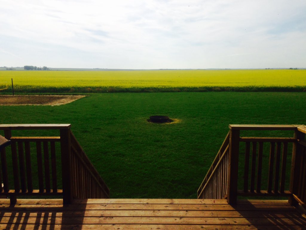 patkunz's tweet image. Can't beat the view from my deck! @Bayer4CropsCA #5440