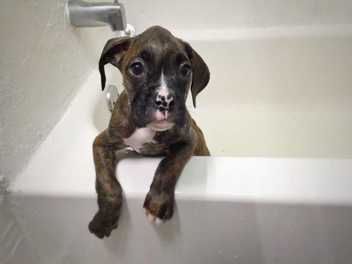jamesjgordon2's tweet photo. #aww https://t.co/qkdX6Gm6Tm